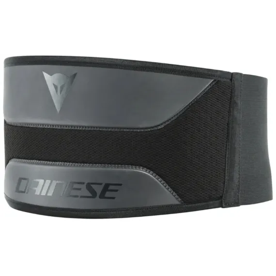 FAJA DAINESE LUMBAR BELT LOW NEGRO